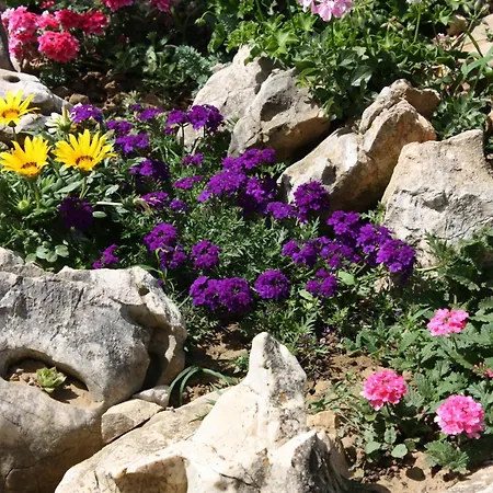 Apartment - Donja 2001d *